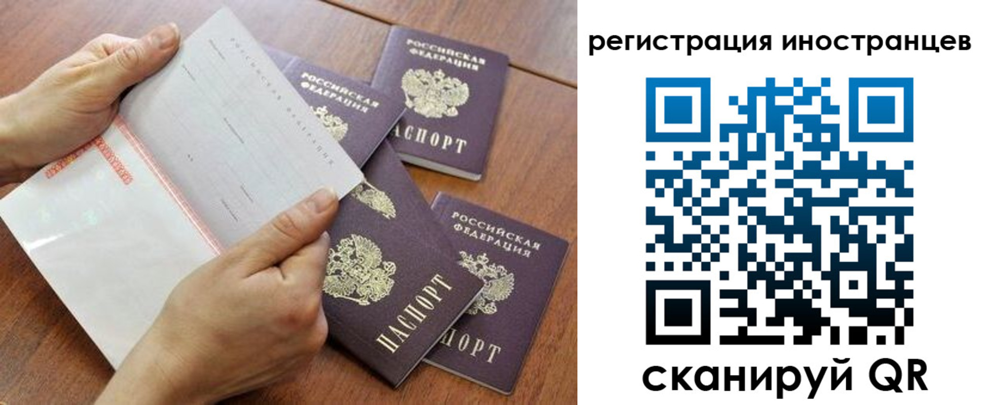 прописка поиск в Похвистнево